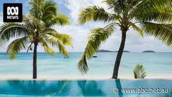 From over-productive to 'senile', coconut trees pose big challenges in the tropics