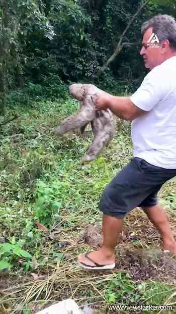 On the road to good deeds: Sloth edition.