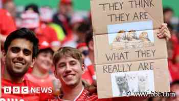 Social media cats react to Euros Three Lions jibe