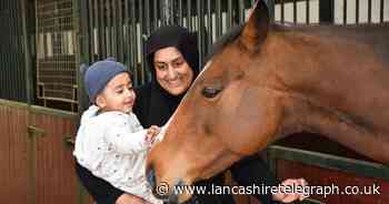 HAPPA unveils summer programme of family-friendly activities