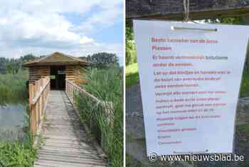 Zieke en dode eenden aangetroffen bij Jutse Plassen: “Blijf opletten tijdens het wandelen”