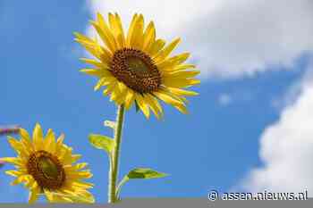 Meer zon komende week, maar geen stabiel zomerweer