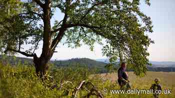 Having a country walk can improve your mood, decrease stress and stop time rushing by, scientists say