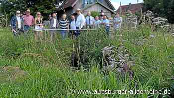 Gemeinden planen beim Schutz vor Hochwasser zusammenzuarbeiten