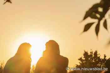 Zomercinema: openluchtfilms op de kinderboerderij