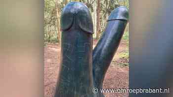 112-nieuws: auto vliegt in brand naast huis • hakenkruizen op piemelbeeld