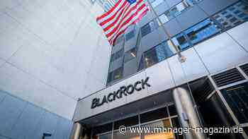 Blackrock: Trump-Attentäter tauchte in Werbeclip des Vermögensverwalters auf
