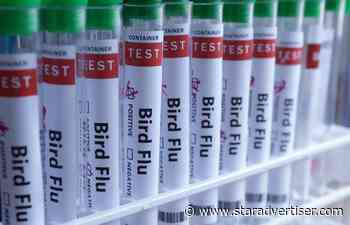 State works to keep H5N1 bird flu out of Hawaii