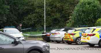Canford Heath: Manhunt continues after woman assaulted at home