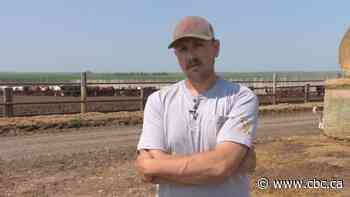 Farmland prices are skyrocketing in Sask . How will that impact the province's family farmers?