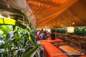 Restaurant tussen de maïs is terug met nieuwe topkok: “Twee weken geleden kookte hij nog voor een driesterrenchef”