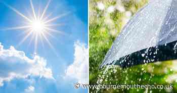 Will it rain on St Swithin’s Day 2024? One Day fans mark day