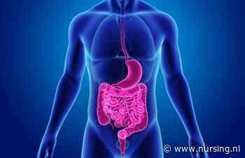 Bewust stoppen met eten en drinken: dit gebeurt er in het lichaam