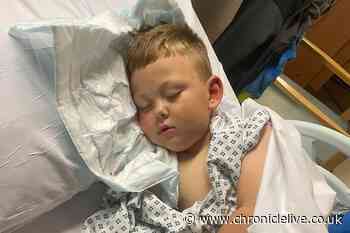 Two due in court after little boy 'mauled by dog' in Northumberland street