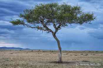 Unglaubliche Augenblicke im Allwetterzoo