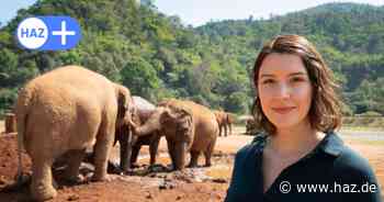 Von der TiHo ins TV: Hannah Emde ist die neue Moderatorin bei Terra X