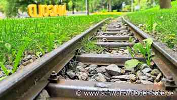 Nagolder Miniaturbahn: Das Kleb-Bähnle erlebt sein Comeback