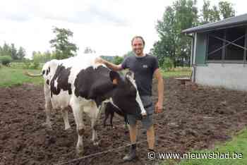 Adriaan wint prijs voor vogelvriendelijkste landbouwer: “Om gruttonesten te sparen, stel ik maaidatum uit”
