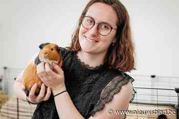 Schattige cadeautjes die later ‘gedumpt’ worden: “In mijn asiel geef ik achtergelaten cavia’s een nieuwe thuis”
