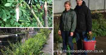 Hackney gardeners slam L&Q Group over nature reserve upkeep