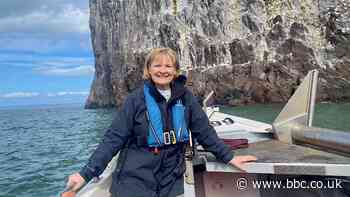 Open Country: Diving Gannets and Raging Seas