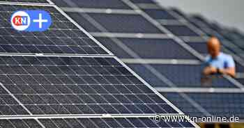 Solarpark in Osdorf: Sonnenenergie auf 30 Hektar Land