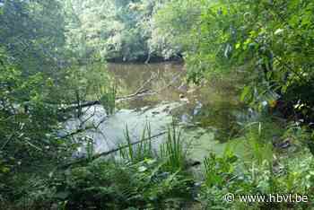 Grote kuis in Zutendaalse beekvallei: veertien weekendhuisjes worden weer natuur