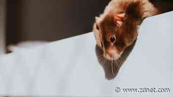 5 ways to make the Xfce desktop more enjoyable to use