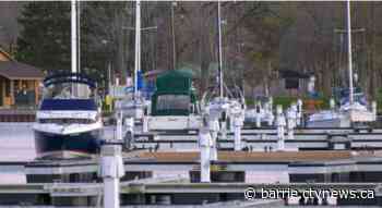 Dog tasered after biting policemen at Barrie Marina