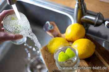 Durst nach Trinkwasser steigt in Rheda-Wiedenbrück