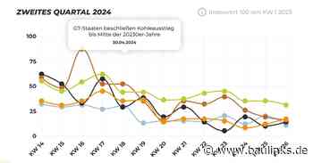 DAA WärmeIndex Q2 2024: Stetige Nachfrage nach klimafreundlicher Wärmeerzeugung