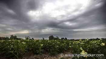 Rest van de avond code geel in zuidelijke provincies wegens stevige onweersbuien