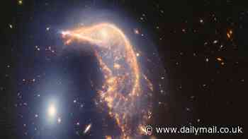 NASA's James Webb snaps two galaxies coming together to form image of one of Earth's most beloved animals... do YOU see it?