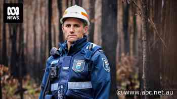 With up to 9,000 trees illegally chopped down each year, authorities are cracking down