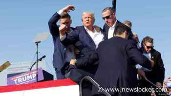 NU+ | Jullie vragen over aanslag op Trump: 'Complotmolen draait op volle toeren'