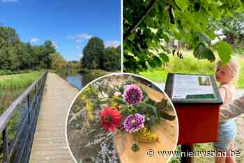 Volop zomerbeleving in Mechels Vrijbroekpark: van bloemschikken, over gocarten, tot genieten van parkbier Kruiperke