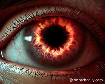 First-of-Its-Kind Discovery: Early Macular Degeneration Signs Can Predict Vision Loss