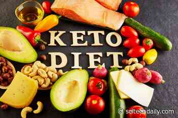 Groundbreaking Study Links Keto Diet to Reduced Memory Loss