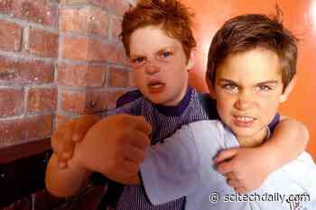 Why Do Some Teen Boys Turn Aggressive? The Surprising Role of Masculinity