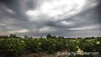 Tot middernacht code geel in zuidelijke provincies wegens stevige onweersbuien