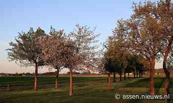 Gemeente Assen en Landschapsbeheer Drenthe zoeken groene vrijwilligers