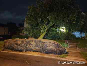 LOOK: Severe storm leaves damage in its path