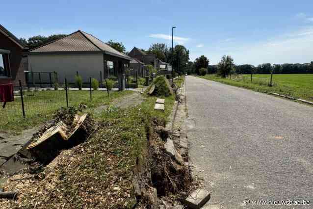 Bewoners zijn één week na stormweer opgelucht dat Fonteinstraat boomvrij is gemaakt: “Beter laat dan nooit”