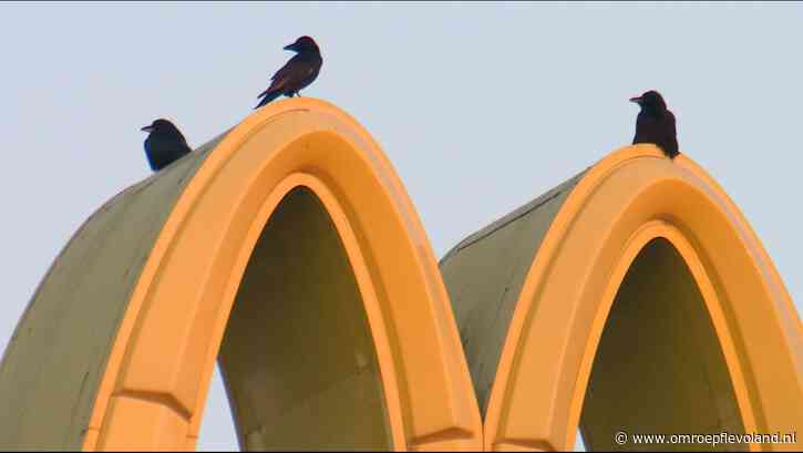 Almere - Man laat in de McDonald's zijn broek zakken en masseert zichzelf, maanden celstraf
