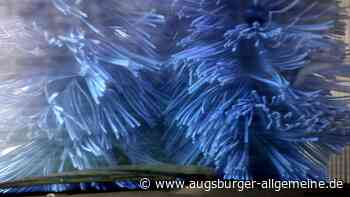 Gerade freigelassen: Automatenknacker auf frischer Tat ertappt