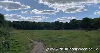 Highgate Wood School wants fence at Crouch End Playing Field