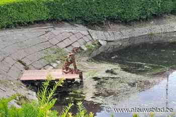 Kunstenaars tonen werken op beelden- en poëzieroute: ‘water’ is centraal thema van 24ste editie