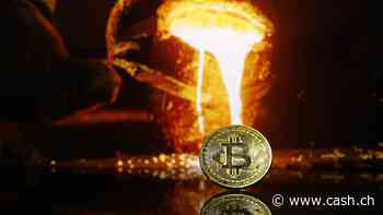 «Bitcoin ist das digitale Gold»: Blackrock-Chef Larry Fink hats wieder gesagt