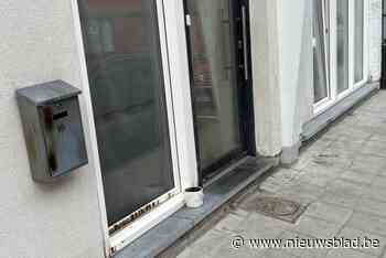 Ontdek de voordeuren van de Bomenwijk