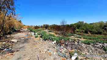 Incendio Magliana, la Regione avvia lo sfalcio: "Interveniamo su competenze del comune"